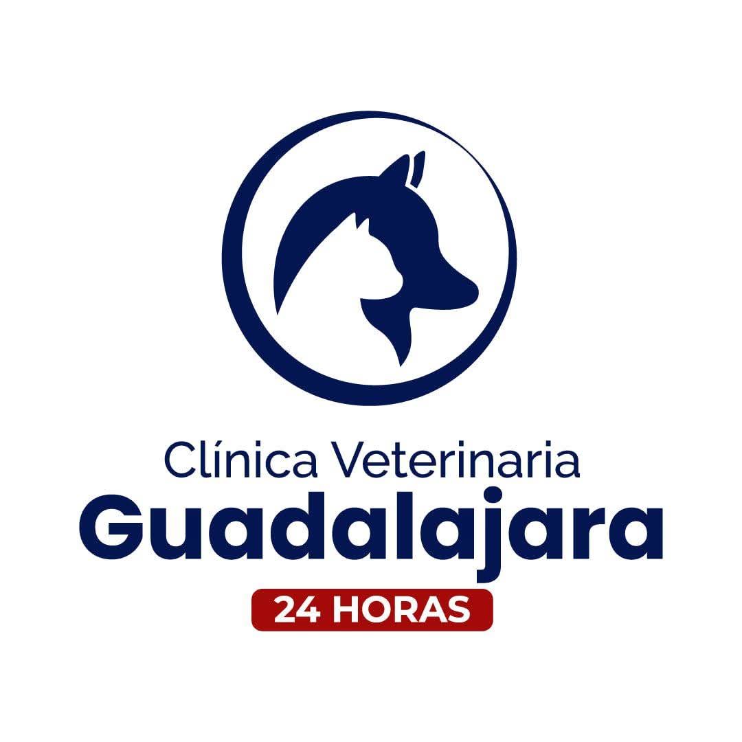clinicaguadalajaranuevo